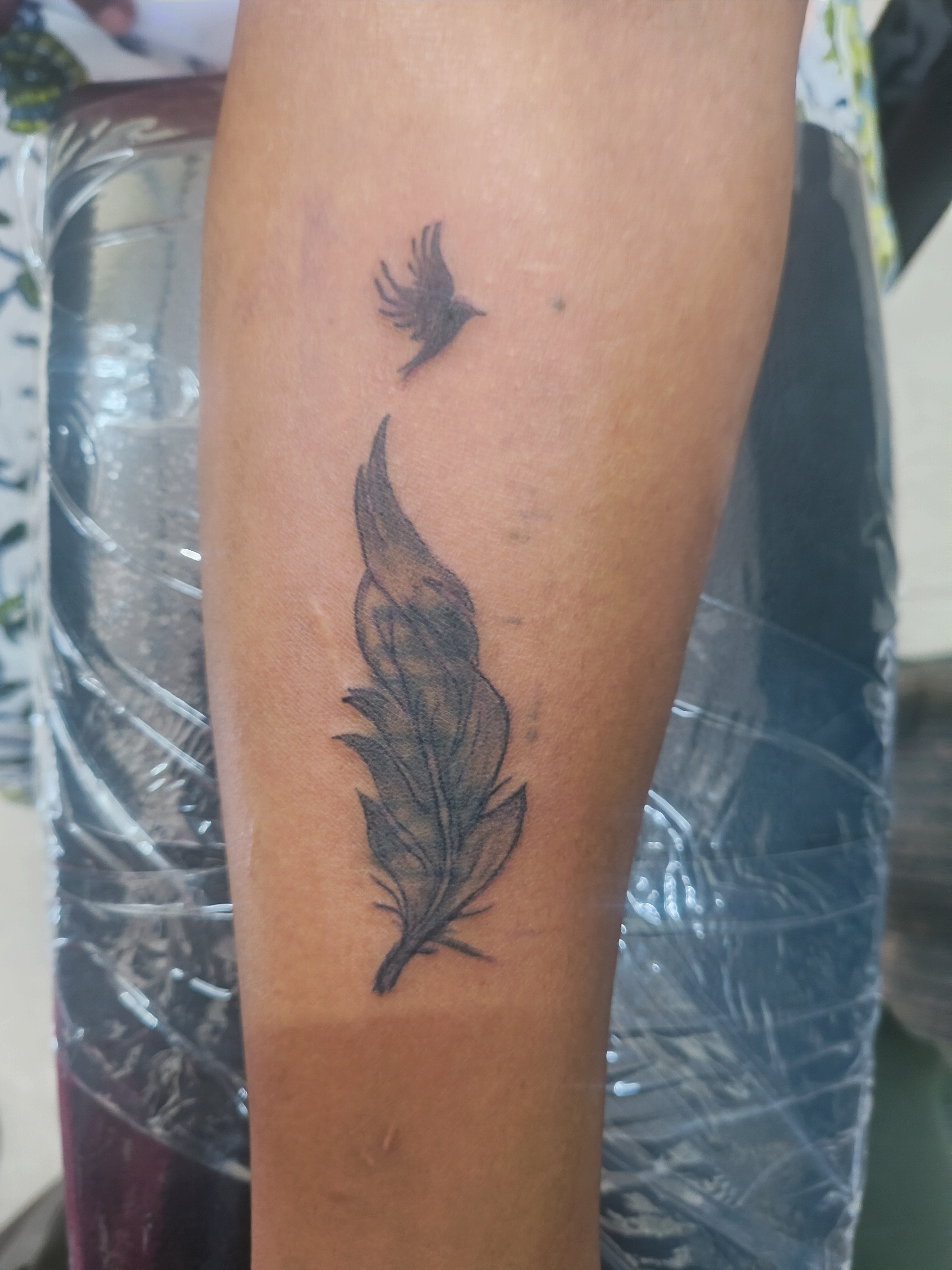 Feather 