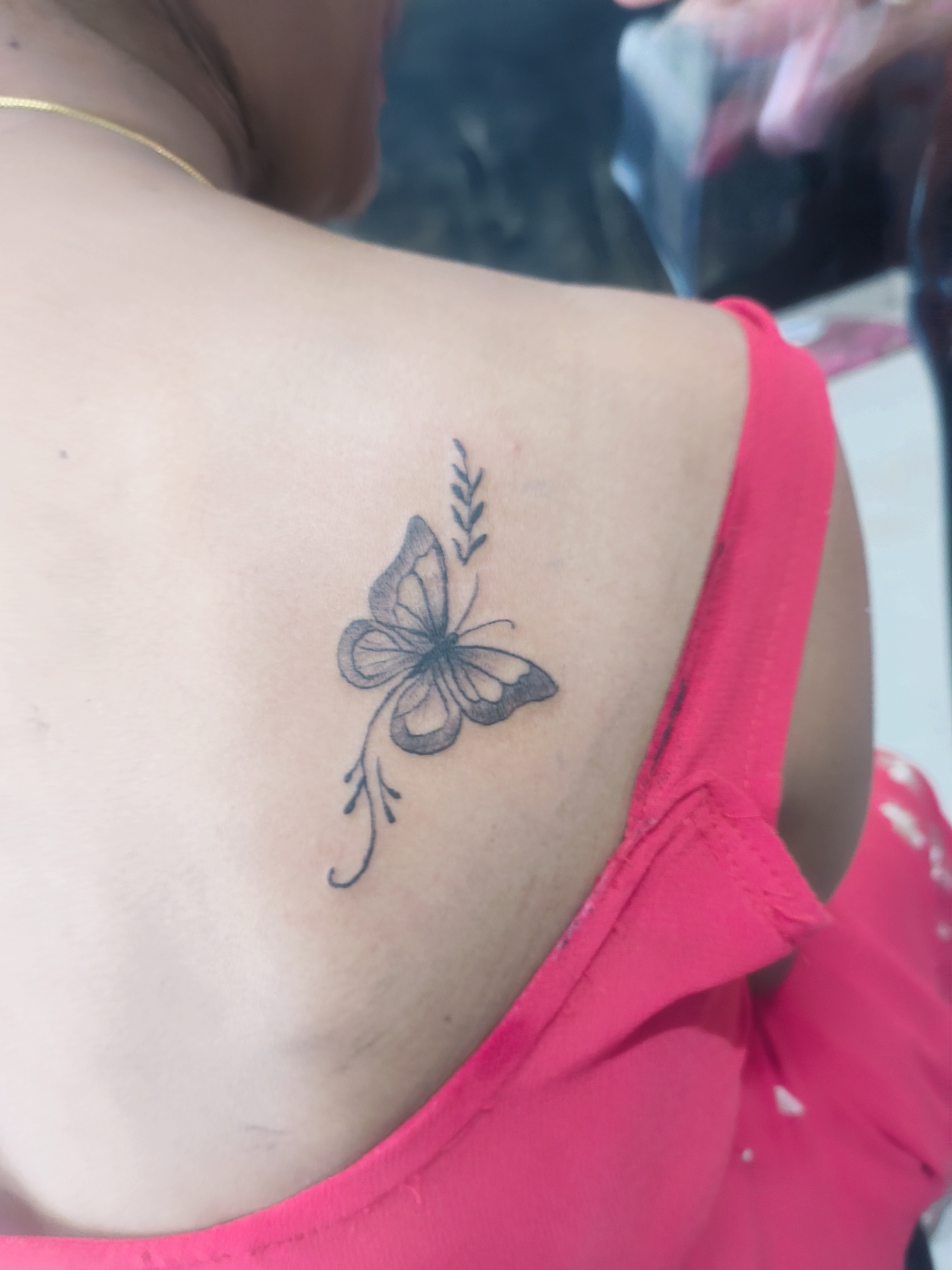 Butterfly 