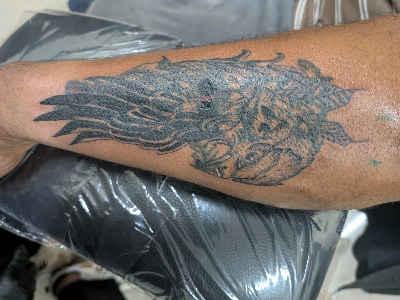 Eagle 