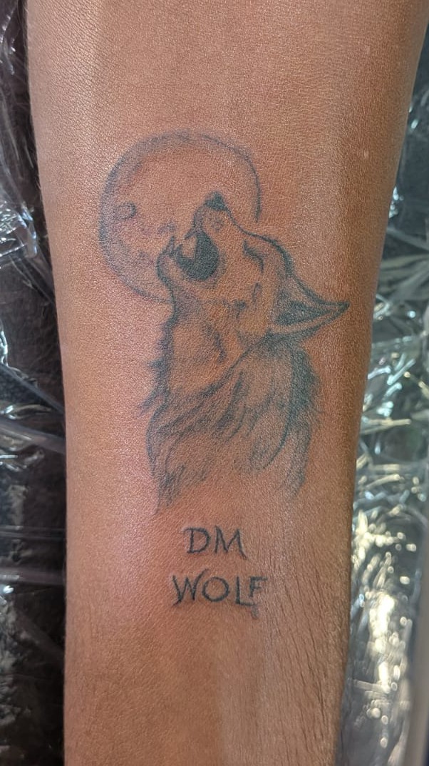 Wolf and moon