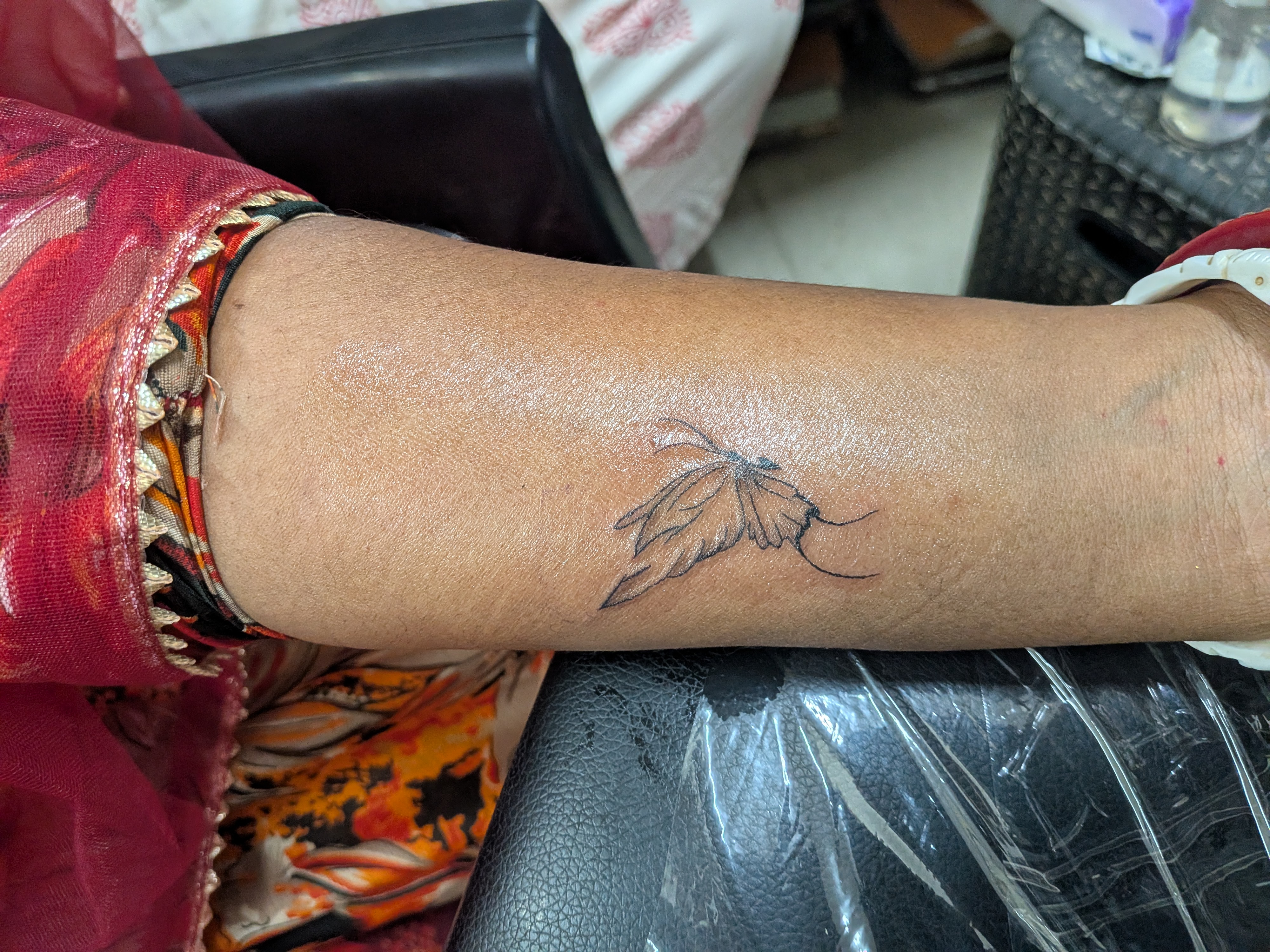 Butterfly 