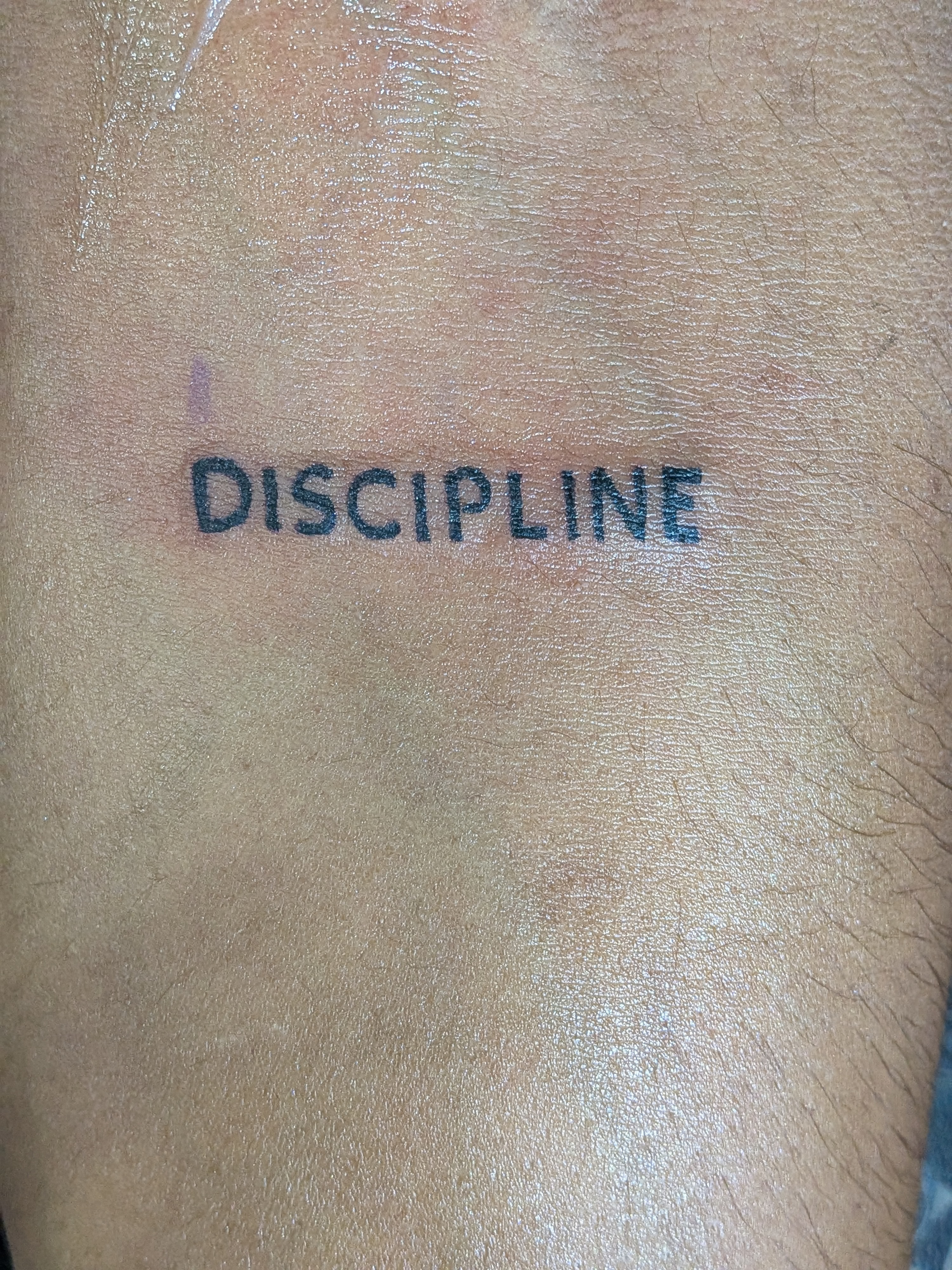Discipline 