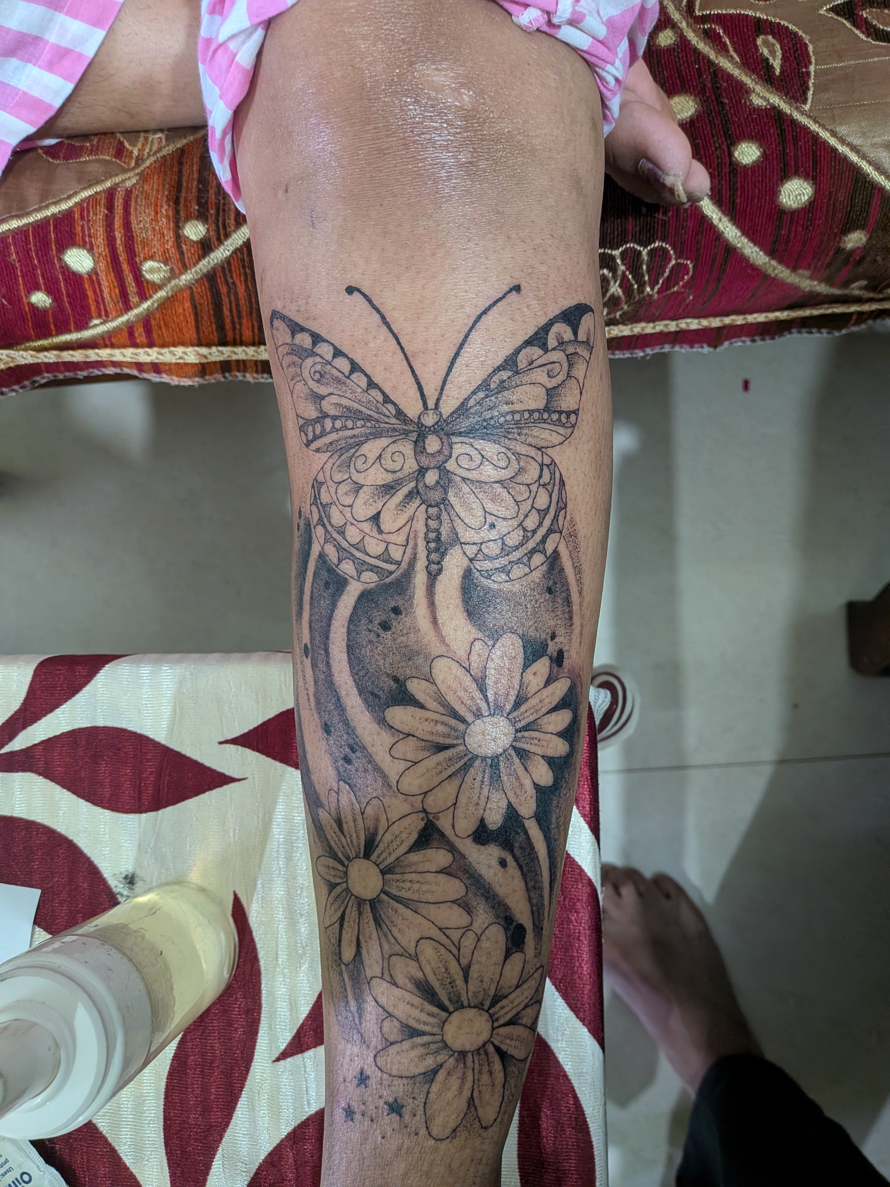 Butterfly 