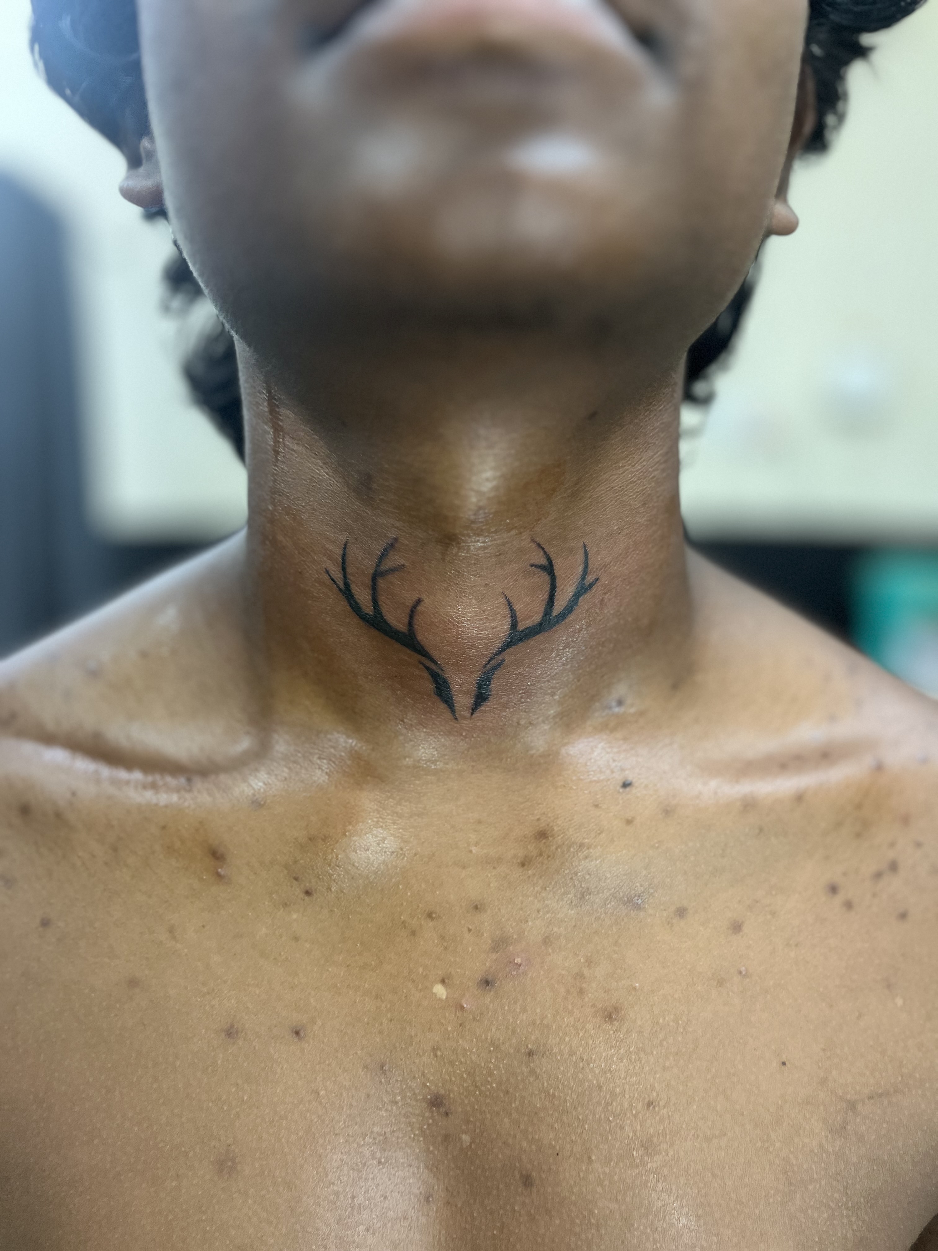 Deer