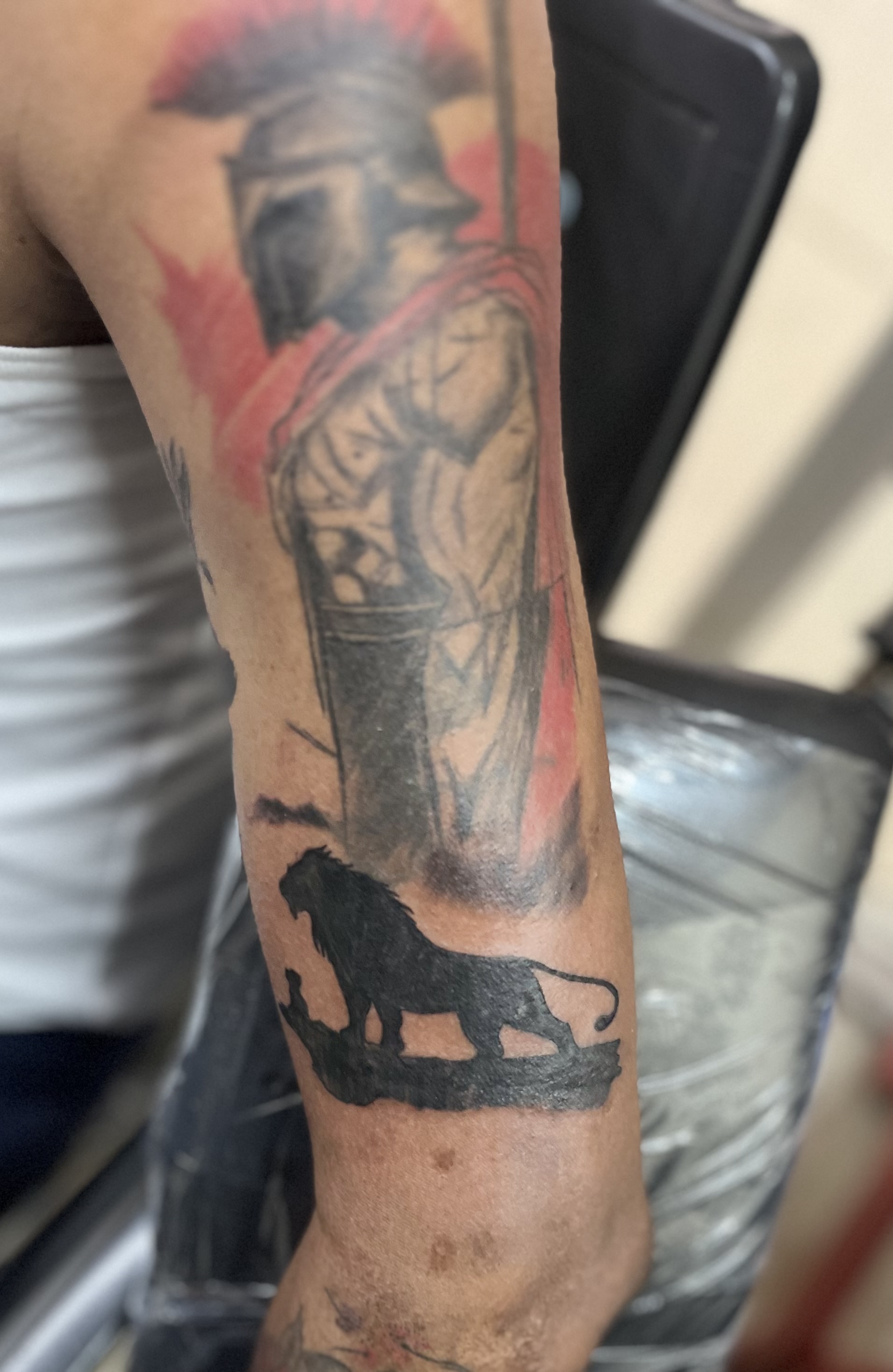 Lion 