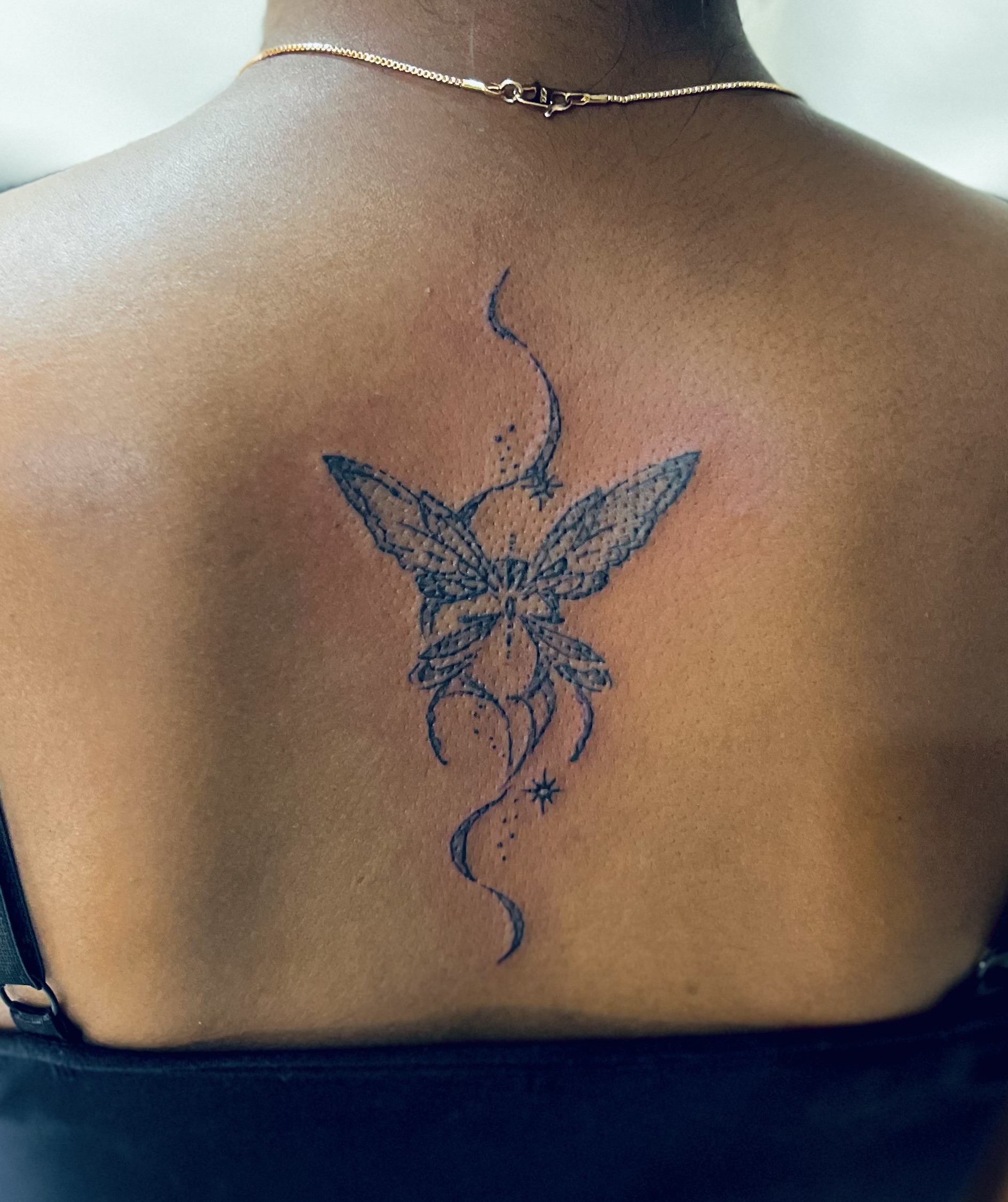 Butterfly 